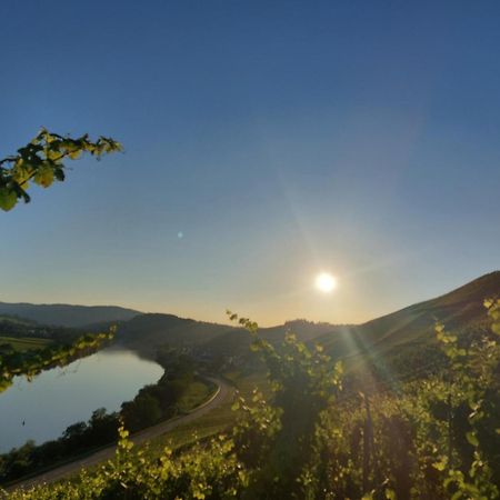 Ferienwohnungen Zum Niederberg Lieser Εξωτερικό φωτογραφία