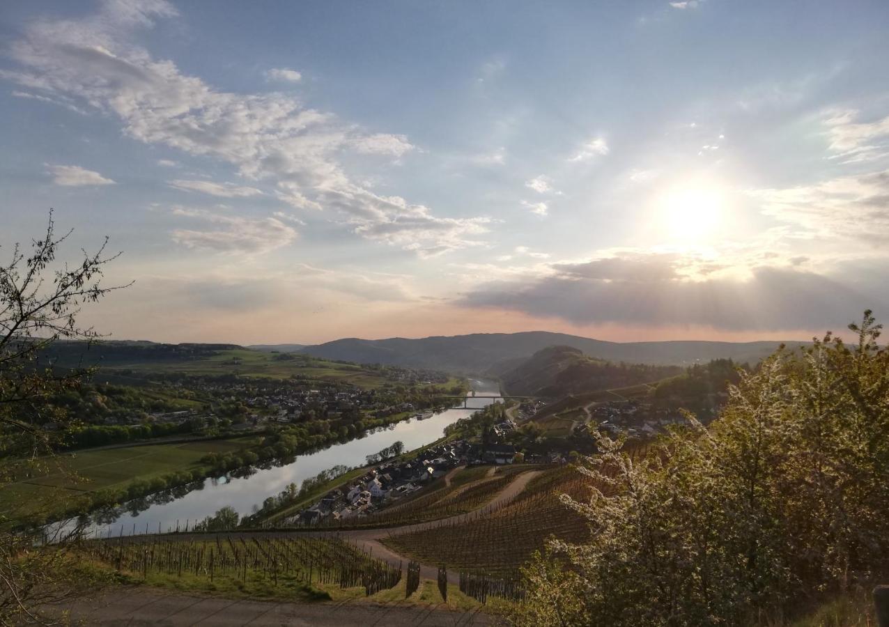 Ferienwohnungen Zum Niederberg Lieser Εξωτερικό φωτογραφία