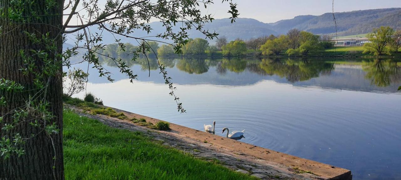 Ferienwohnungen Zum Niederberg Lieser Εξωτερικό φωτογραφία