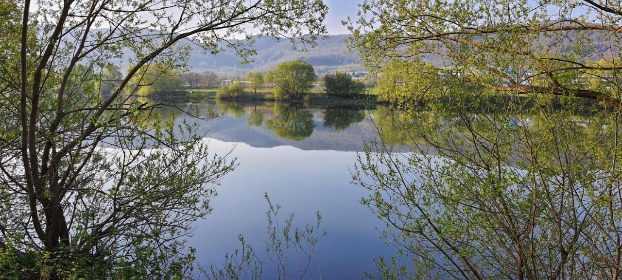 Ferienwohnungen Zum Niederberg Lieser Εξωτερικό φωτογραφία
