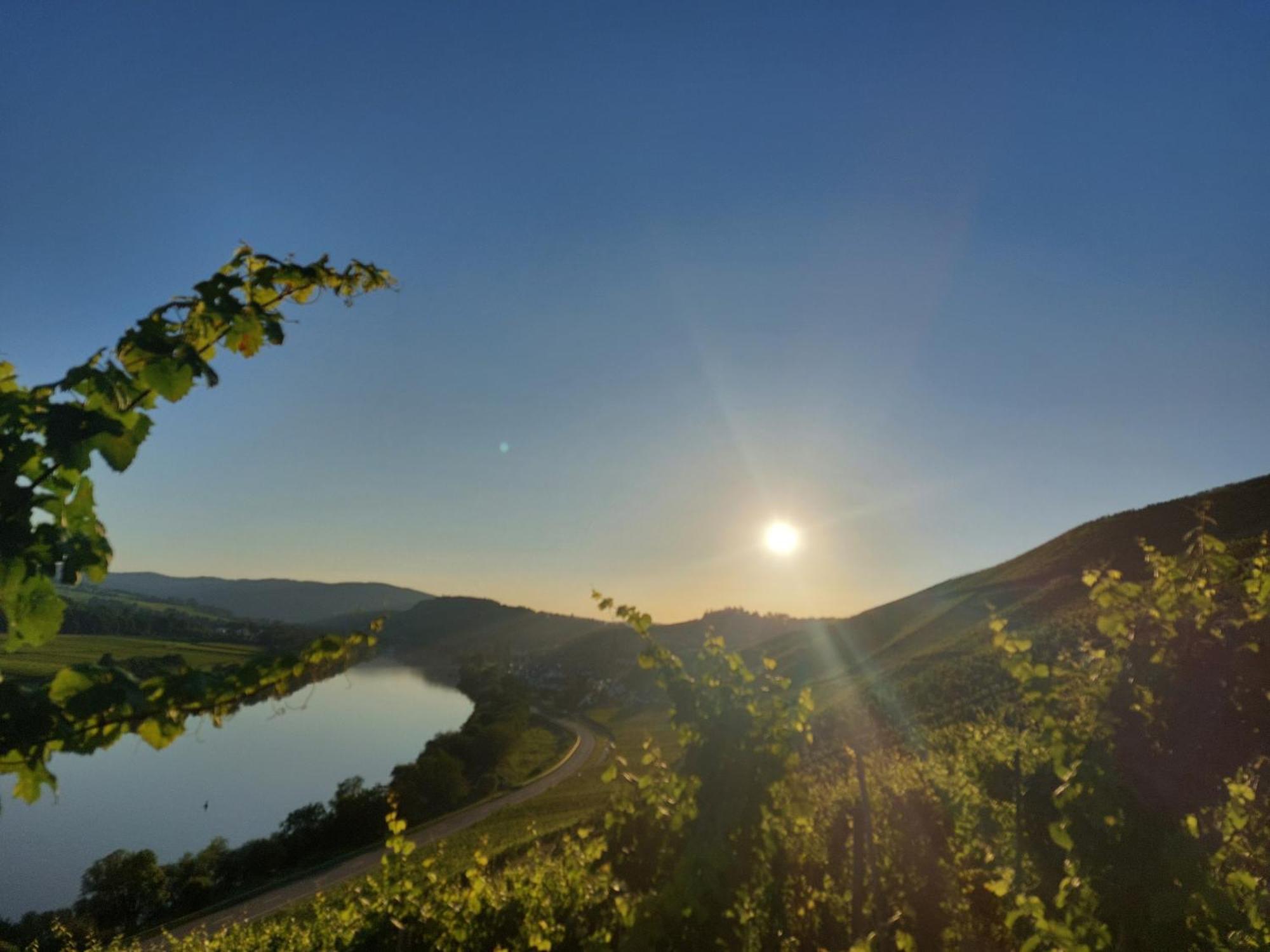 Ferienwohnungen Zum Niederberg Lieser Εξωτερικό φωτογραφία